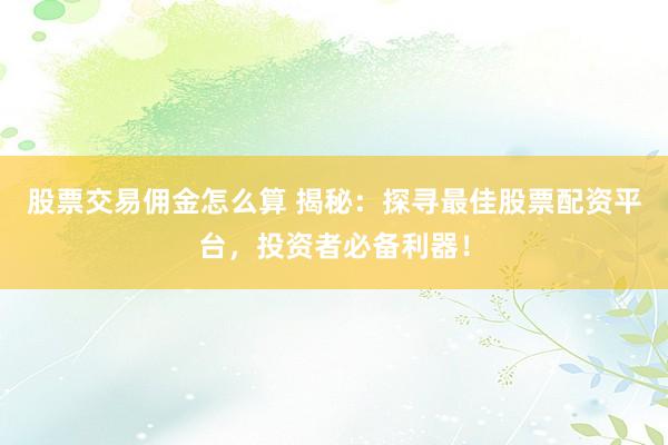 股票交易佣金怎么算 揭秘：探寻最佳股票配资平台，投资者必备利器！