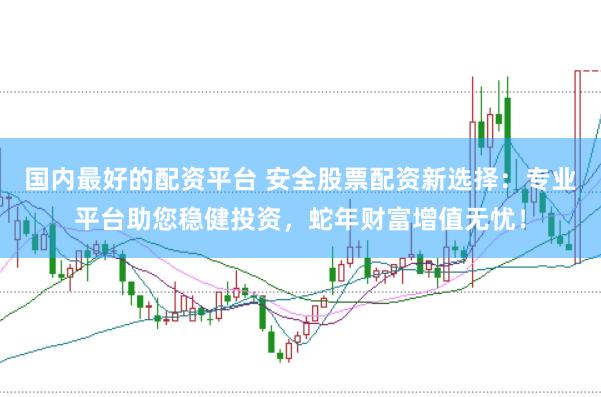 国内最好的配资平台 安全股票配资新选择：专业平台助您稳健投资，蛇年财富增值无忧！