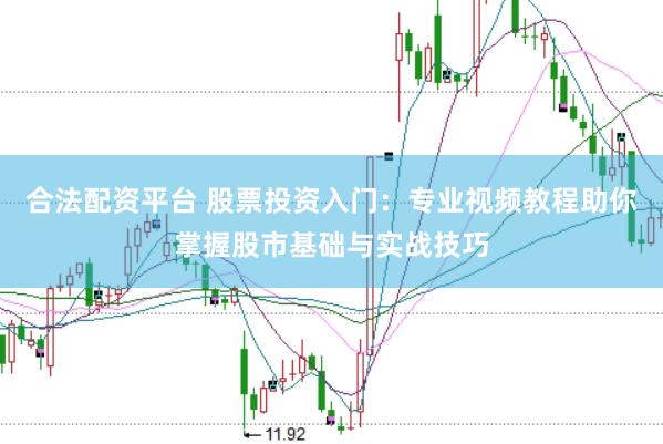 合法配资平台 股票投资入门：专业视频教程助你掌握股市基础与实战技巧