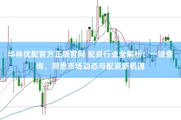 华林优配官方正版官网 配资行业全解析：一键查询，洞悉市场动态与配资新机遇