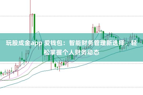 玩股成金app 爱钱包：智能财务管理新选择，轻松掌握个人财务动态