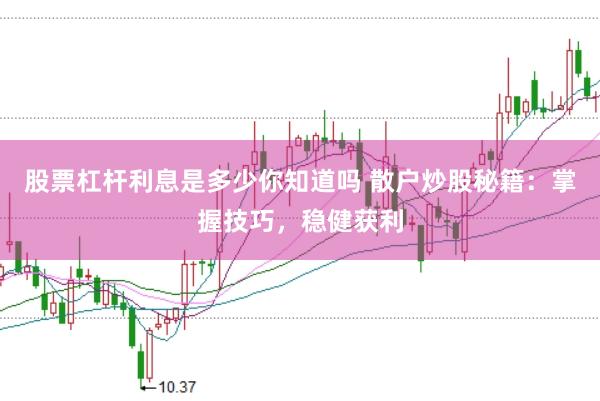 股票杠杆利息是多少你知道吗 散户炒股秘籍：掌握技巧，稳健获利