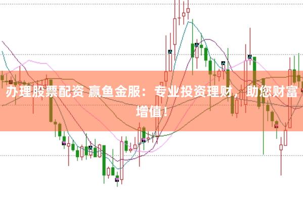 办理股票配资 赢鱼金服：专业投资理财，助您财富增值！