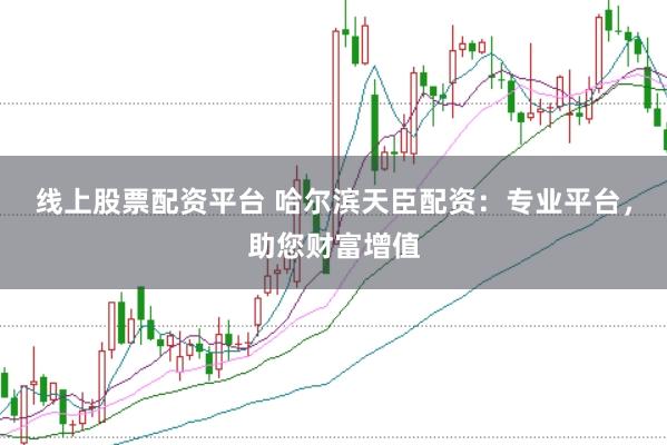 线上股票配资平台 哈尔滨天臣配资：专业平台，助您财富增值