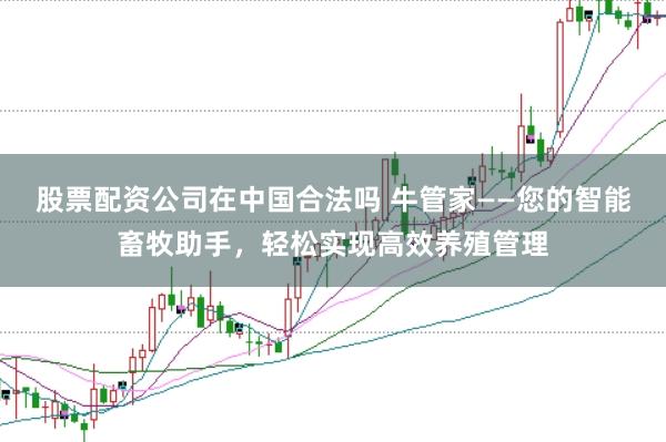 股票配资公司在中国合法吗 牛管家——您的智能畜牧助手，轻松实现高效养殖管理