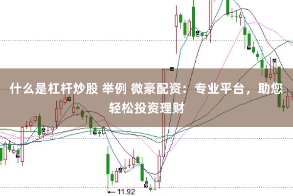什么是杠杆炒股 举例 微豪配资：专业平台，助您轻松投资理财