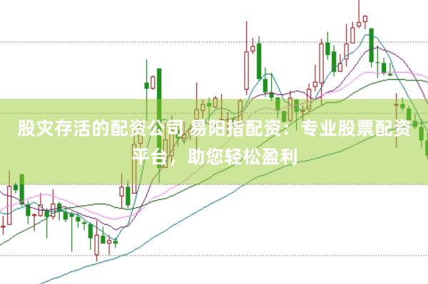 股灾存活的配资公司 易阳指配资：专业股票配资平台，助您轻松盈利