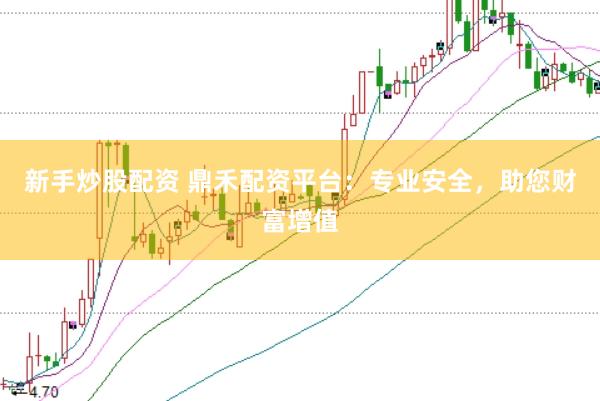 新手炒股配资 鼎禾配资平台：专业安全，助您财富增值