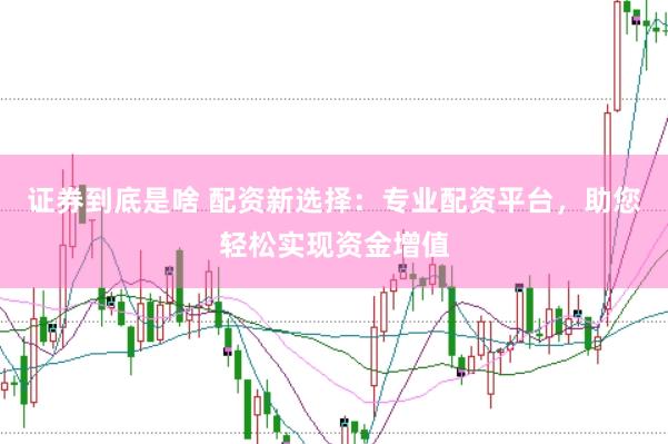 证券到底是啥 配资新选择：专业配资平台，助您轻松实现资金增值