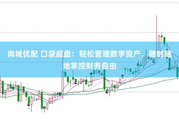 尚城优配 口袋超盘：轻松管理数字资产，随时随地掌控财务自由