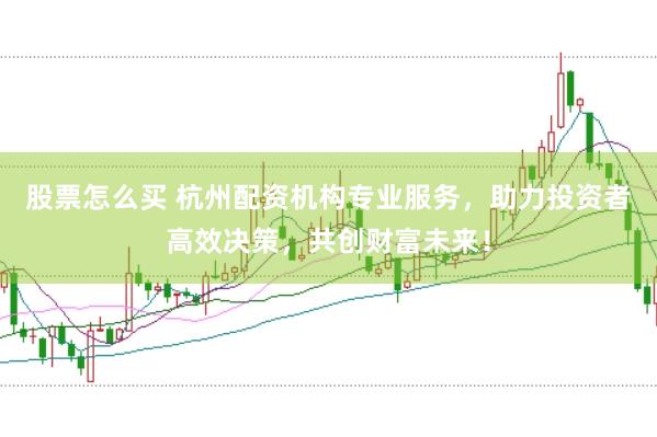 股票怎么买 杭州配资机构专业服务，助力投资者高效决策，共创财富未来！