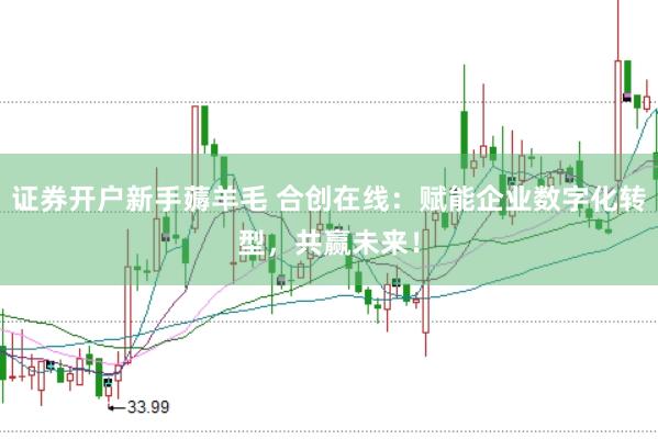 证券开户新手薅羊毛 合创在线：赋能企业数字化转型，共赢未来！