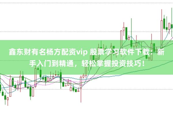 鑫东财有名杨方配资vip 股票学习软件下载：新手入门到精通，轻松掌握投资技巧！