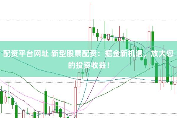 配资平台网址 新型股票配资：掘金新机遇，放大您的投资收益！