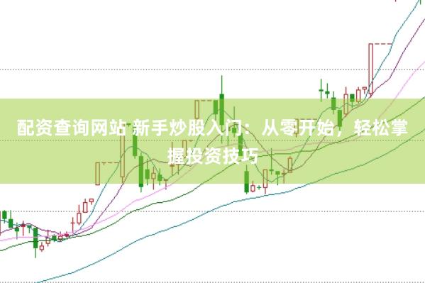 配资查询网站 新手炒股入门：从零开始，轻松掌握投资技巧