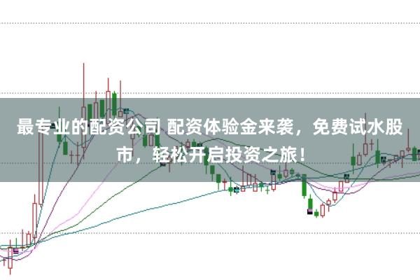 最专业的配资公司 配资体验金来袭,免费试水股市,轻松开启投资之旅!