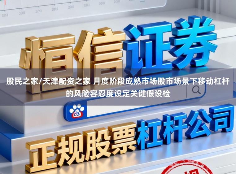 股民之家/天津配资之家 月度阶段成熟市场股市场景下移动杠杆的风险容忍度设定关键假设检