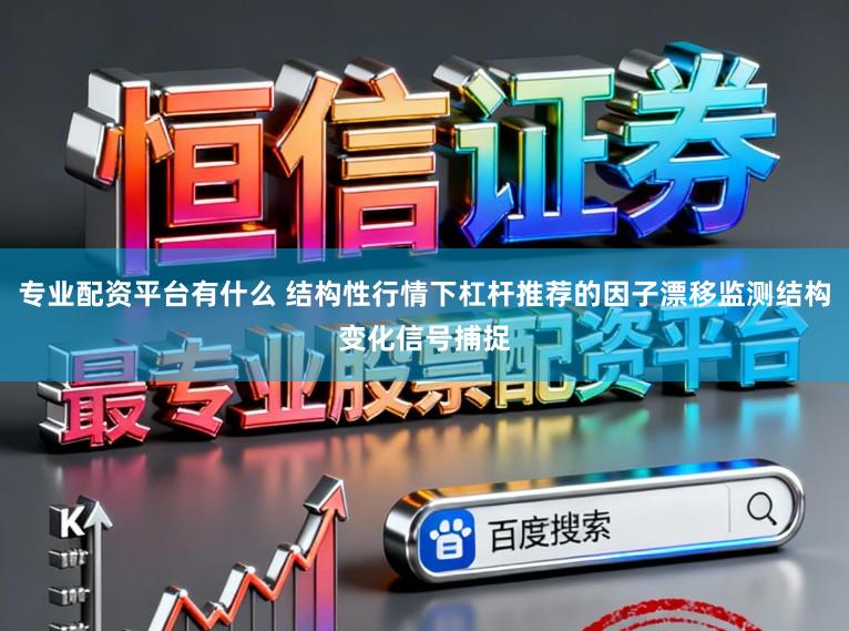 专业配资平台有什么 结构性行情下杠杆推荐的因子漂移监测结构变化信号捕捉