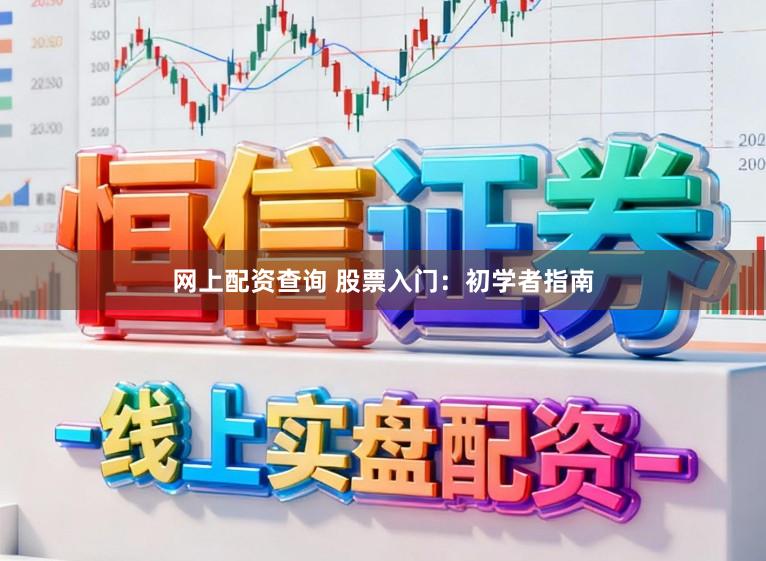 网上配资查询 股票入门:初学者指南